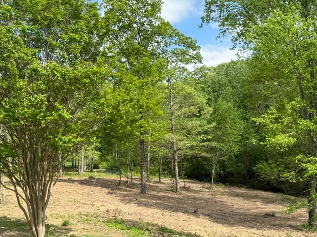 After: Overgrown Brush Cleared