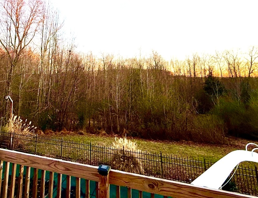 Before: Overgrown Brush Cleared